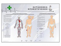Электрифицированный стенд "Остановка кровотечения" - fgospostavki.ru - Владимир