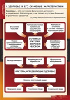 Комплект таблиц. ОБЖ. Здоровый образ жизни. - fgospostavki.ru - Владимир