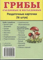 Раздаточные карточки "Грибы съедобные и не съедобные" - fgospostavki.ru - Владимир