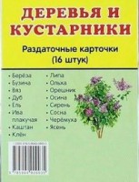 Раздаточные карточки "Деревья и кустарники" - fgospostavki.ru - Владимир
