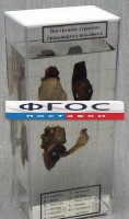 Влажный препарат "Внутреннее строение брюхоногого моллюска" - fgospostavki.ru - Владимир