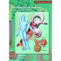 Интерактивные плакаты. Биология человека. Программно-методический комплекс - fgospostavki.ru - Владимир