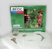 Гербарий "Основные группы растений" (52 листа) - fgospostavki.ru - Владимир