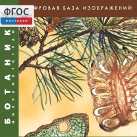Ботаника. Микрофотографии. (Цифровая база изображений) - fgospostavki.ru - Владимир