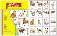 Демонстрационные карточки "Домашние животные" - fgospostavki.ru - Владимир