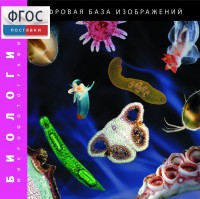 Биология. Микрофотографии. (Цифровая база изображений) - fgospostavki.ru - Владимир