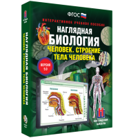 Наглядная биология. 8 - 9 классы. Человек. Строение тела человека - fgospostavki.ru - Владимир