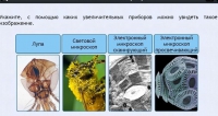 Интерактивные курсы. Биология 5 класс. Расширенный - fgospostavki.ru - Владимир