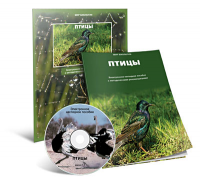 Электронное наглядное пособие «Птицы» - fgospostavki.ru - Владимир