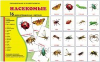 Демонстрационные карточки "Насекомые" - fgospostavki.ru - Владимир