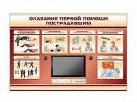 Многофункциональный интерактивный стенд-тренажер "Оказание первой помощи пострадавшим" для учащихся общеобразовательных учреждений - fgospostavki.ru - Владимир