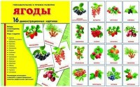 Демонстрационные карточки "Ягоды" - fgospostavki.ru - Владимир