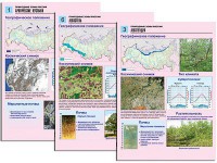 Комплект таблиц по географии "Природные зоны России" раздаточные (цветные, ламинированные, А4, 10 штук) - fgospostavki.ru - Владимир