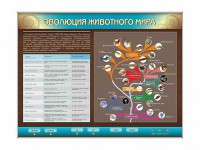 Интерактивный электрифицированный стенд "Эволюция животного мира" - fgospostavki.ru - Владимир