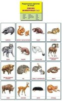 Раздаточные карточки "Дикие животные (1)" - fgospostavki.ru - Владимир