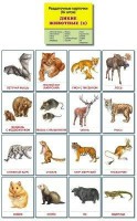 Раздаточные карточки "Дикие животные (2)" - fgospostavki.ru - Владимир