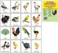 Раздаточные карточки "Птицы домашние и декоративные" - fgospostavki.ru - Владимир