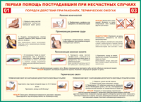 Таблица "Порядок действий при ранениях и термических ожогах" (100х140 сантиметров, винил) - fgospostavki.ru - Владимир