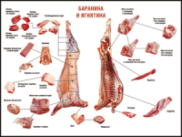 Таблица "Правила разделки мясных туш. Баранина и ягнятина" (100х140 сантиметров, винил) - fgospostavki.ru - Владимир