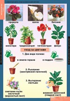 Комплект таблиц. Окружающий мир 1 класс. - fgospostavki.ru - Владимир