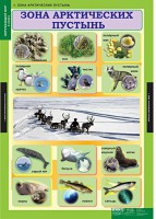 Комплект таблиц. Окружающий мир 4 класс. - fgospostavki.ru - Владимир
