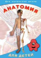 DVD "Анатомия для детей" - fgospostavki.ru - Владимир