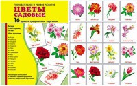 Демонстрационные карточки "Цветы садовые" - fgospostavki.ru - Владимир