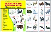 Демонстрационные карточки "Животные холодных широт" - fgospostavki.ru - Владимир