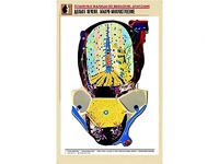 Рельефная таблица "Долька печени. Макро-микростроение" (формат А1, матовое ламинирование) - fgospostavki.ru - Владимир