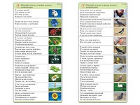 Комплект карточек (10) "Обучающий калейдоскоп. Природа" - fgospostavki.ru - Владимир