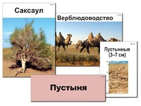 Модель-аппликация "Природные зоны России" (ламинированная) - fgospostavki.ru - Владимир