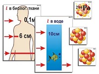 Модель-аппликация "Явление радиоактивности" (ламинированная) - fgospostavki.ru - Владимир