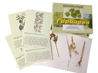 Гербарий "Систематика растений. Семейство Бобовые. Злаки" (раздаточный) - fgospostavki.ru - Владимир