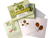 Гербарий "Систематика растений. Семейство Розоцветные" (раздаточный) - fgospostavki.ru - Владимир