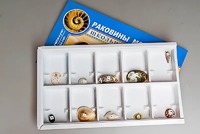 Коллекция "Раковины моллюсков" - fgospostavki.ru - Владимир