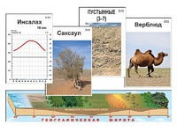 Модель-аппликация "Природные зоны" - fgospostavki.ru - Владимир