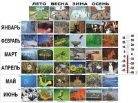 Фенологические наблюдения - fgospostavki.ru - Владимир