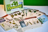 Гербарий к курсу основ общей биологии - fgospostavki.ru - Владимир