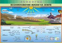Таблица "Возникновение жизни на земле" (100х140 сантиметров, винил) - fgospostavki.ru - Владимир