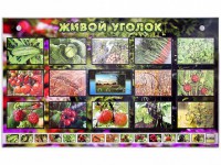 Комплект оборудования "Живой уголок" (растения) с тифлопереводом и сурдокомментариями - fgospostavki.ru - Владимир