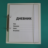 Дневник школьника (с полным набором карточек) - fgospostavki.ru - Владимир