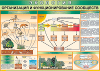 Таблица "Организация и функционирование сообществ" (100х140 сантиметров, винил) - fgospostavki.ru - Владимир