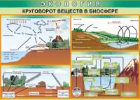 Таблица "Круговорот веществ в биосфере" (100х140 сантиметров, винил) - fgospostavki.ru - Владимир