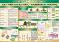 Таблица "Биотические взаимоотношения организмов" (100х140 сантиметров, винил) - fgospostavki.ru - Владимир
