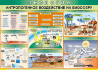 Таблица "Антропогенное воздействие на биосферу" (100х140 сантиметров, винил) - fgospostavki.ru - Владимир
