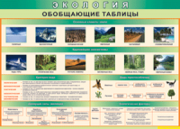 Таблица "Экология. Обобщающие таблицы" (100х140 сантиметров, винил) - fgospostavki.ru - Владимир
