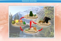 Интерактивные курсы. Биология 7 класс. Базовый. - fgospostavki.ru - Владимир