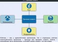 Интерактивные курсы. Биология 5 класс. Базовый - fgospostavki.ru - Владимир