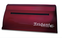 Принтер для печати рельефно-точечным шрифтом Брайля Trident - fgospostavki.ru - Владимир