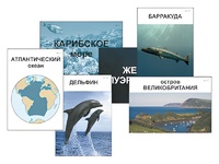 Модель-аппликация "Океаны. Знакомство" (ламинированная) - fgospostavki.ru - Владимир